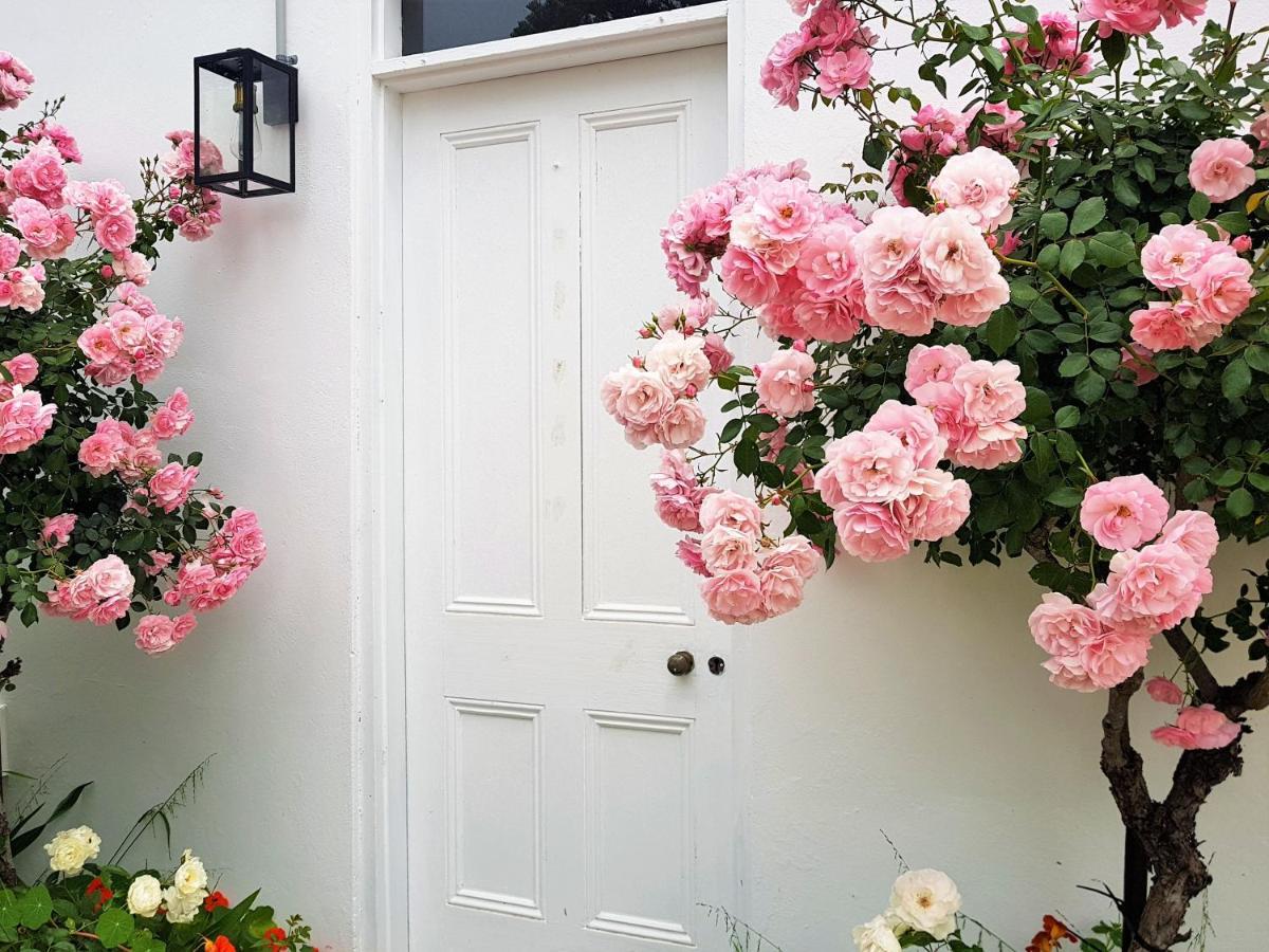 Clonmara Country House And Cottages Port Fairy Exteriör bild