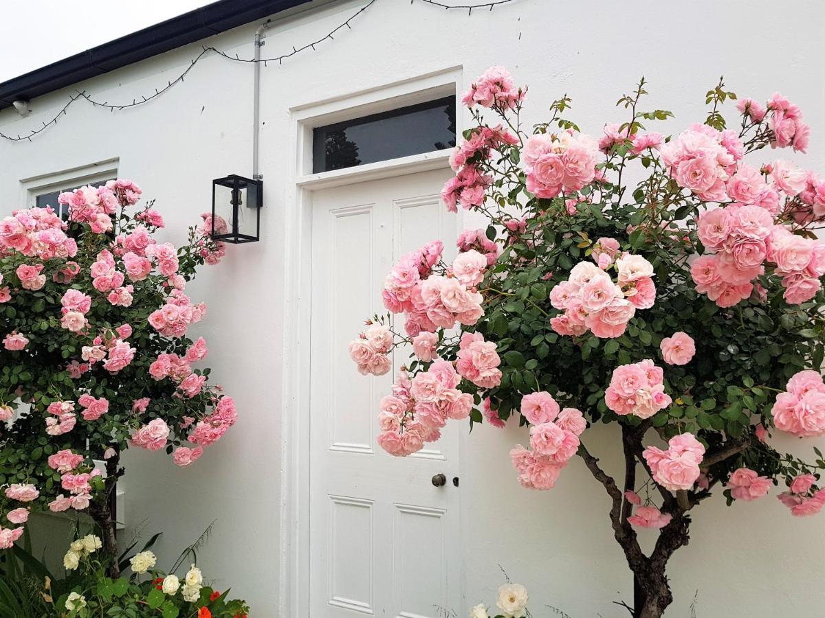 Clonmara Country House And Cottages Port Fairy Exteriör bild
