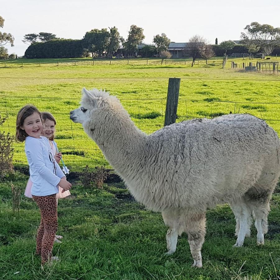 Clonmara Country House And Cottages Port Fairy Exteriör bild