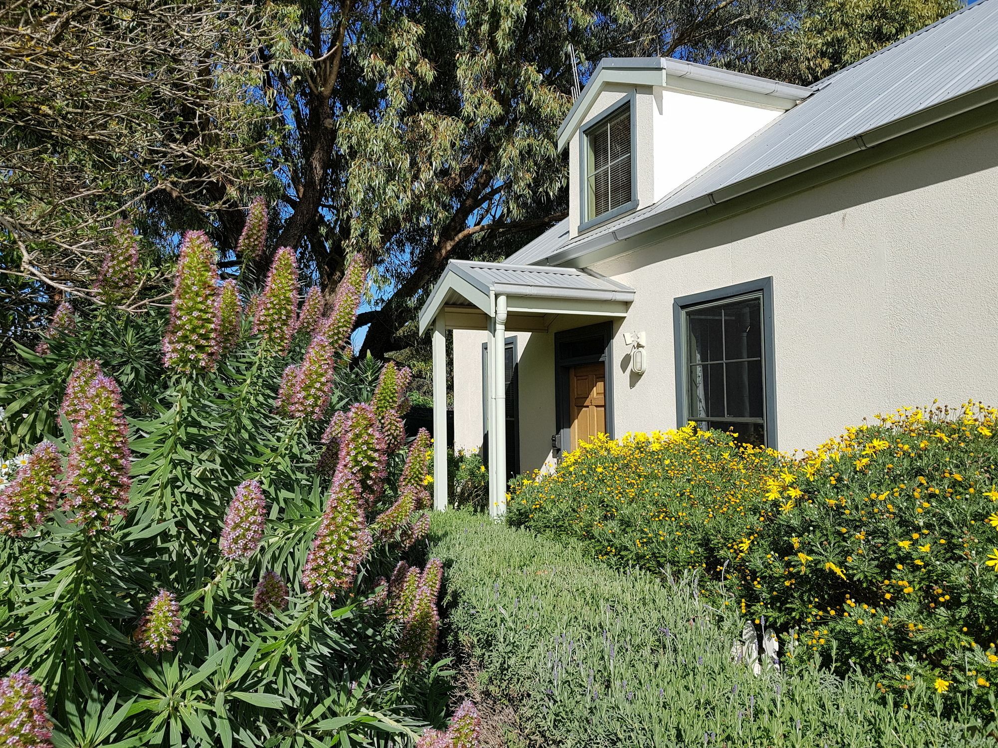 Clonmara Country House And Cottages Port Fairy Exteriör bild