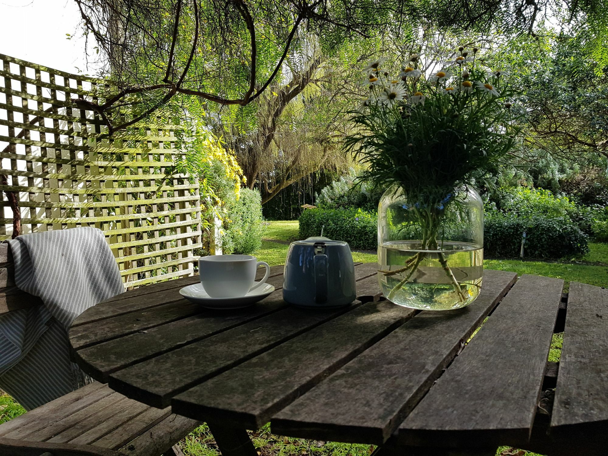 Clonmara Country House And Cottages Port Fairy Exteriör bild