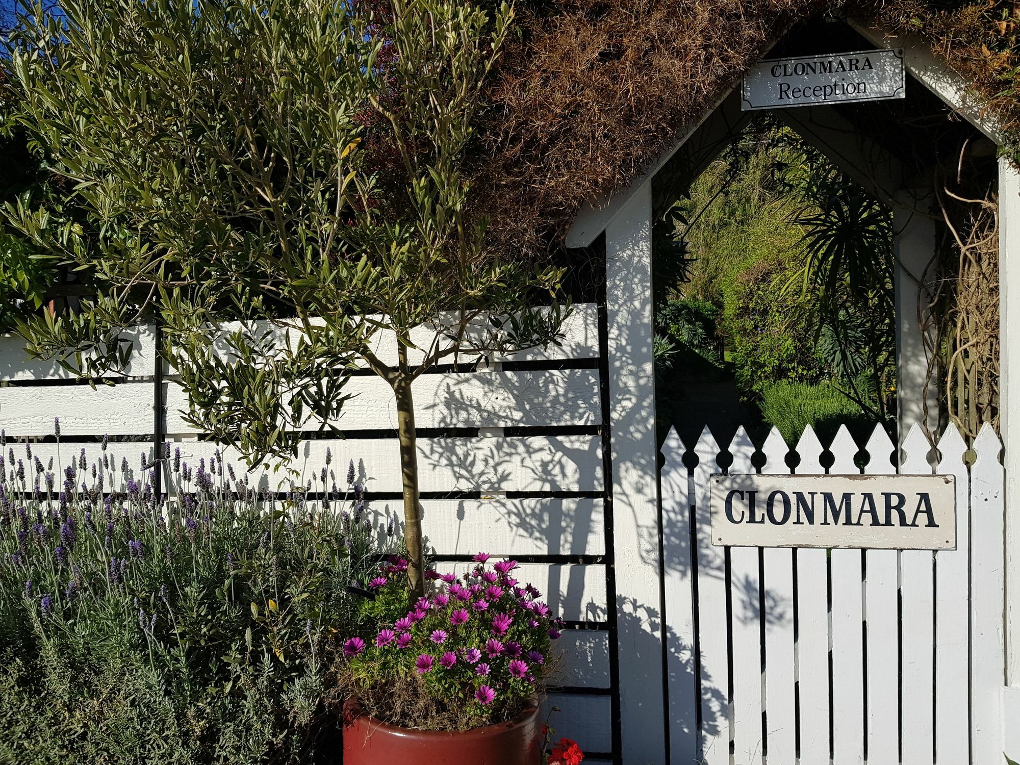 Clonmara Country House And Cottages Port Fairy Exteriör bild